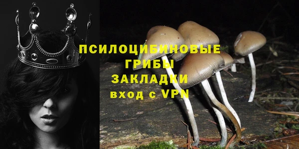 apvp Баксан