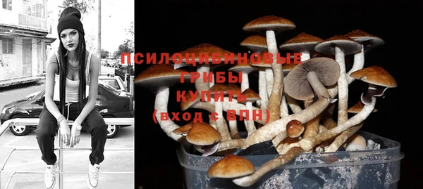 дурь Балахна