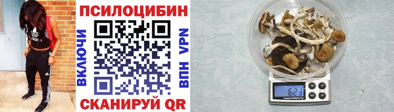 где купить наркоту  Вольск  Галлюциногенные грибы ЛСД 