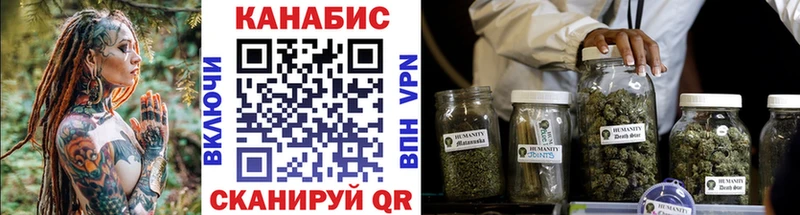 Конопля сатива  KRAKEN ONION  Вольск 